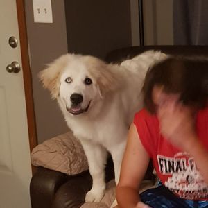 Meet your Posher, Rick